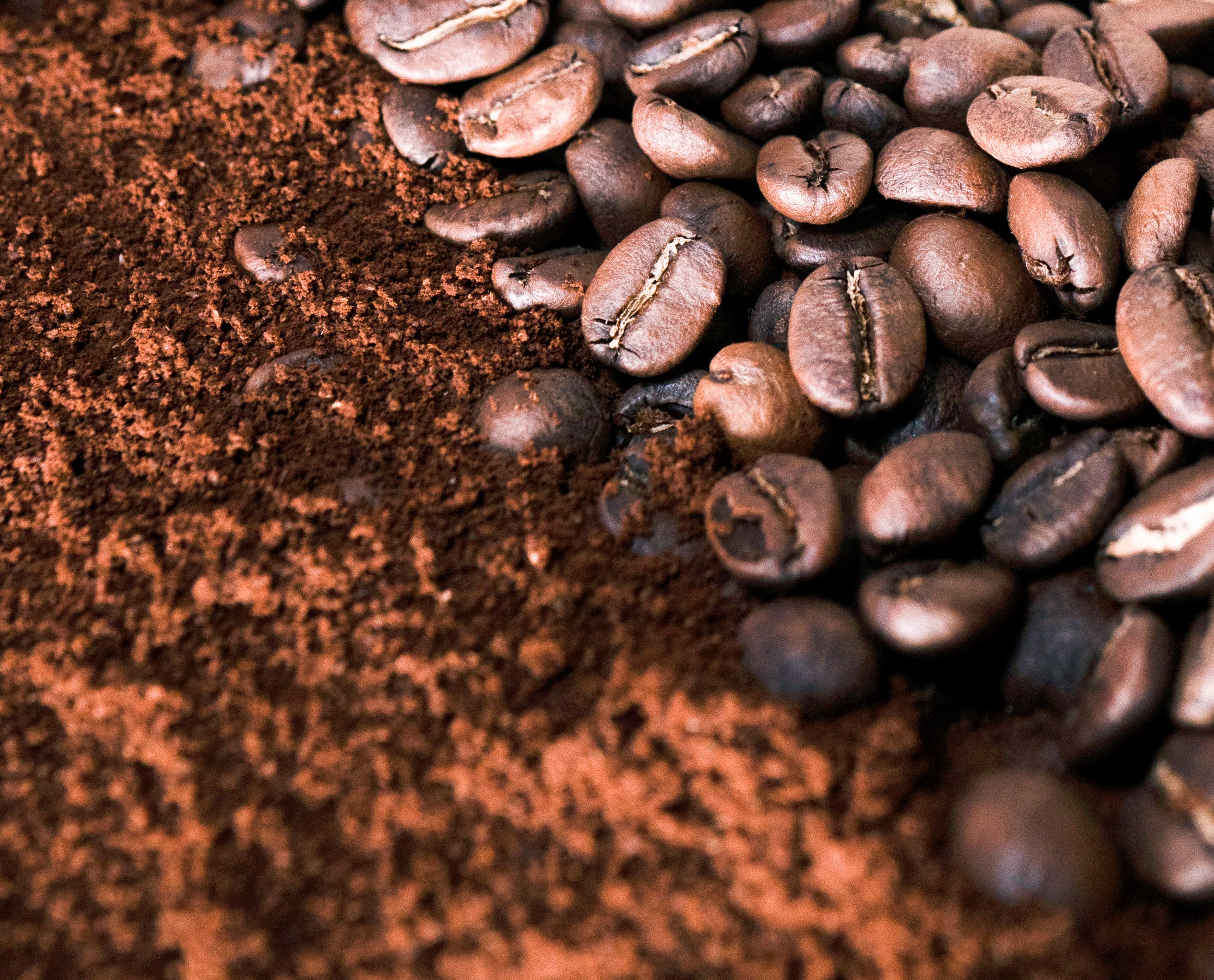 DSC07197_EDITED_OC.jpg__PID:531dbe4e-59a0-47d3-8f56-1610a88d854e